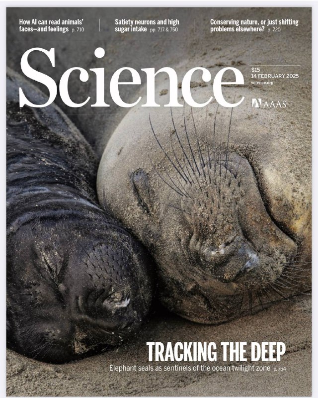 Science-14.02.2025⚠️AI在识别动物面部压力和疼痛迹象方面超越人类，部分算法能精准判断动物情绪，未来有望解读更复杂情感，助力动物福利提升；鸟类和哺乳动物大脑神经元及连接的发育和演化存在趋同现象；RNA聚合酶II在组蛋白基因上的占位可预测人类癌症预后；新型催化剂可实现高效稳定的水电解，降低铱使用量；利用地震噪声测量可监测地下蓄水层变化....📌Download                #科学