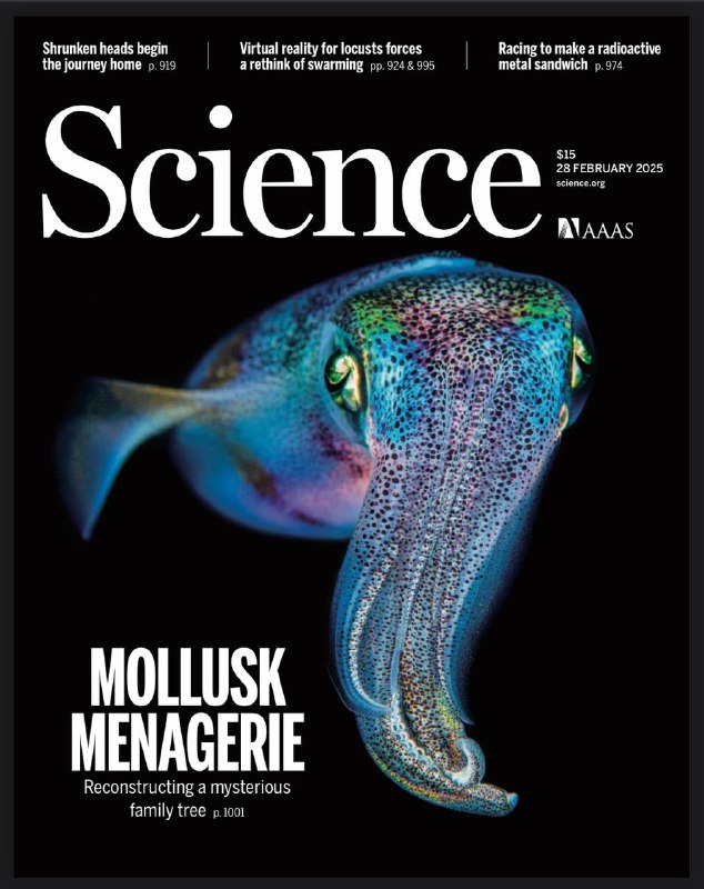 Science-28.02.2025⚠️特朗普政府多项举措冲击美国科研领域，早期职业科学家深受影响，面临资金不确定、岗位缩减、研究项目取消等问题；SPHEREx红外太空望远镜即将发射，用于探测宇宙大爆炸后的“暴胀”痕迹等；研究发现火山岩矿物可能解决早期生命的磷源问题；通过基因组测序解析软体动物家族树；揭示蝗虫集体运动行为机制，挑战传统模型.....📌Download                  #科学