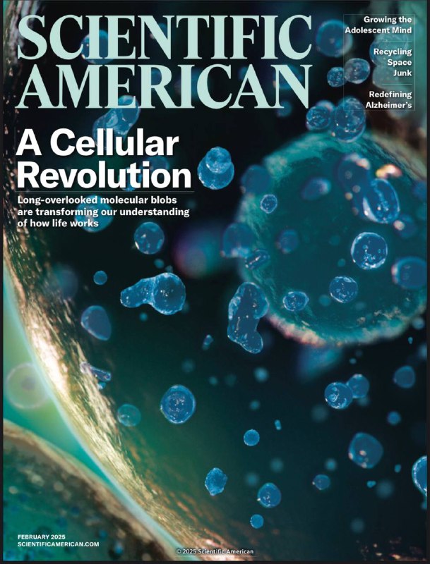 Scientific American-02.2025⚠️细胞新认知：细胞内生物分子凝聚体由蛋白和 RNA 构成，通过相分离形成，参与细胞多种关键功能；太空垃圾剧增威胁轨道安全，需构建循环太空经济；粉碎玄武岩撒于农田的增强岩石风化（ERW）技术可固碳增产；现代人类携带尼安德特人基因，影响健康与认知；阿尔茨海默病诊断标准更新，生物标志物检测可提前诊断，但无症状者检测存在争议... 📌Download         #科学美国人