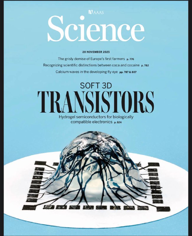 Science-20.11.2025⚠️突破传统半导体局限，研发出细胞可嵌入的半导体水凝胶纤维，厚度达毫米级，可构建交织的“活体晶体管”，模拟大脑神经元连接，重新定义技术与生命的边界；初创公司Blue Skies Space推出全球首个“订阅制太空望远镜”Mauve，13厘米口径紫外观测设备，通过CubeSat平台发射，向科研人员提供年轻恒星观测数据，降低天文观测门槛....📌Download                  #科学