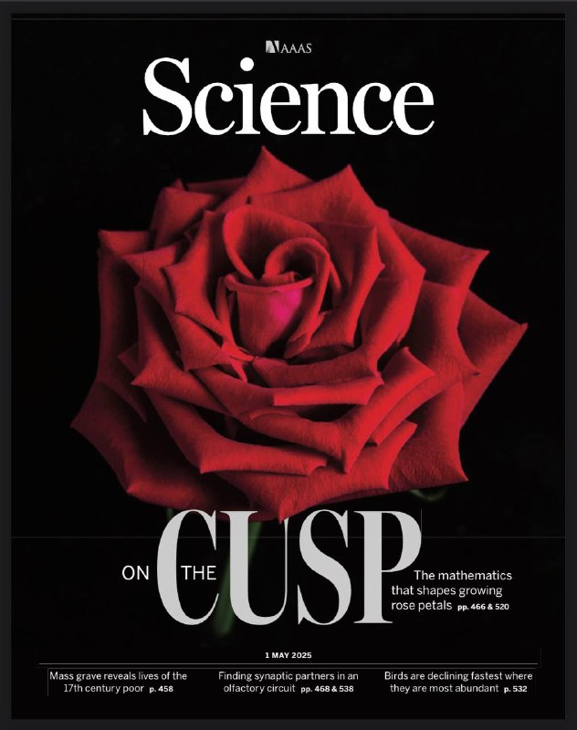 Science-1.05.2025⚠️新放射性碳测年技术修正了北美原住民遗址的历史，显示部分遗址被占用时间比此前认为的晚，挑战了传统观点；对17世纪米兰穷人墓地的研究揭示了当时穷人的生活、健康、饮食和药物使用情况；研究电子在石墨烯干涉仪中的碰撞，揭示了碰撞电子的基本特性....📌Download                    #科学