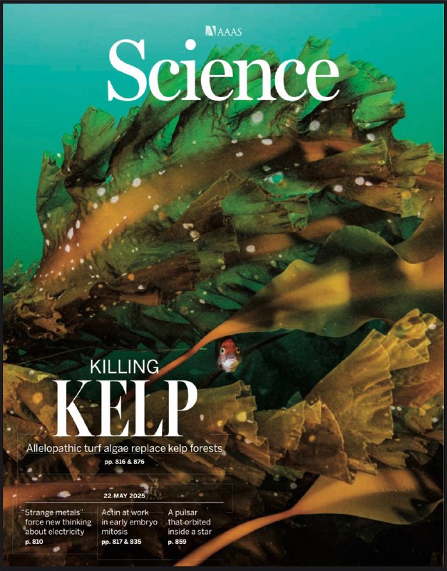 Science-22.05.2025⚠️气候变化导致温带珊瑚礁的化学环境改变， turf 藻类通过释放生物活性分子抑制幼年海带的存活，阻碍海带森林恢复；通过体型建模和系统发育树，发现陆栖树懒多次独立演化出巨型体型，其灭绝与更新世末人类扩散高度相关，而非气候变化主导....📌Download                 #科学