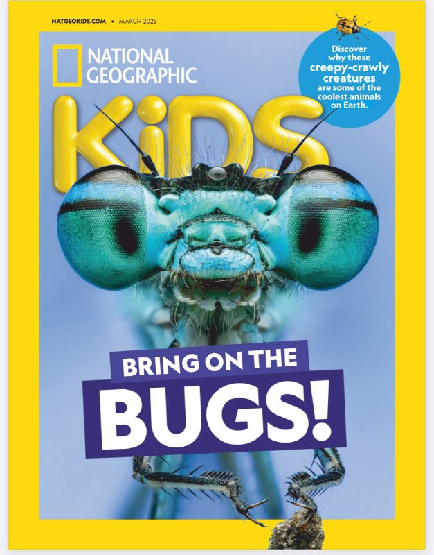 National Geographic Kids-03.2025⚠️昆虫奖项：介绍8种特别的昆虫，如飞行速度最快的蜻蜓、能发光的铁路虫、名字最滑稽的花生头虫等，阐述其独特之处；大猩猩通过声音、动作和气味交流，如低吼声表示问候，尖叫表示害怕等；贝加尔湖海豹是世界上唯一生活在淡水中的海豹，它们有独特的生存技巧；哥伦比亚山区有600多座古老石像守护着数百座坟墓，科学家通过研究发现这些石像由凝灰岩制成，其建造者可能认为墓中埋葬者拥有超自然力量....📌Download        #国家地理儿童