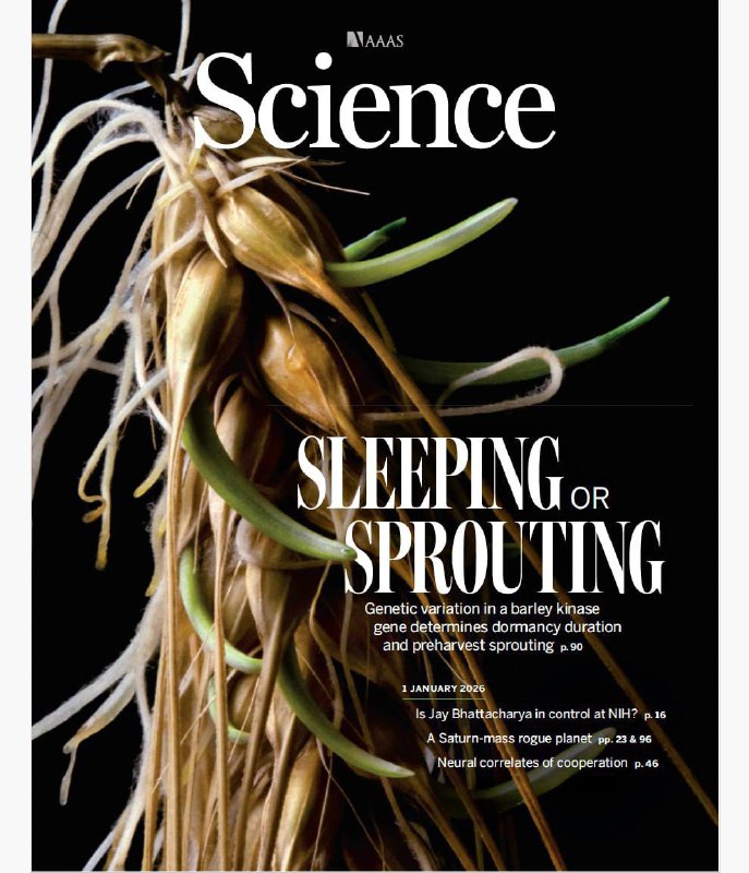 Science-01.01.2026⚠️ 利用DNA条形码追踪细菌谱系，揭示感染瓶颈、传播路径及宿主内进化动态，为感染机制研究和治疗策略开发提供新框架；开发SPARK-seq高通量平台，结合CRISPR基因编辑与单细胞测序，实现数千种适体-靶标相互作用的同时测绘，助力低丰度靶标检测与诊断治疗应用；通过地面与太空协同观测，发现一颗土星质量的游离行星，利用微引力透镜效应明确其质量与距离，为行星形成机制研究提供线索….📌Download                #科学