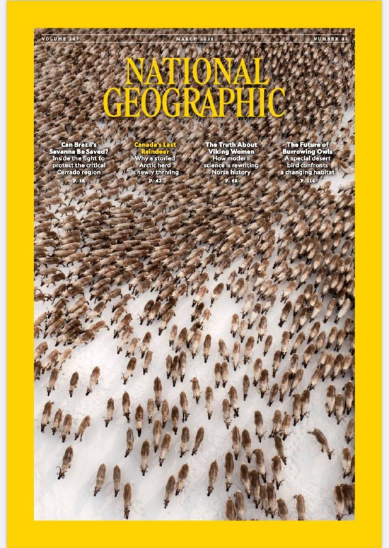 National Geographic-03.2025⚠️巴西塞拉多的困境；加拿大北极地区的驯鹿群，曾因数量减少从阿拉斯加引进
