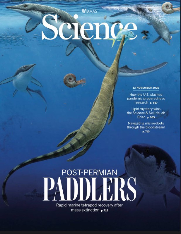 Science-13.11.2025⚠️Steenwyk和King通过“整合系统基因组学”方法，筛选具有强 phylogenetic信号的基因，发现海绵动物是人类最遥远的动物亲属，而非之前争议的栉水母；CLN5基因编码溶酶体BMP合酶，其缺陷导致溶酶体脂质代谢异常，补充BMP或可治疗巴滕病及阿尔茨海默病等相关疾病；Zhao等人发现电渗拖曳导致电极-电解质界面溶剂耗尽，限制快充能力；采用二氟溶剂电解质可缓解该问题，实现13分钟充电80%....📌Download               #科学