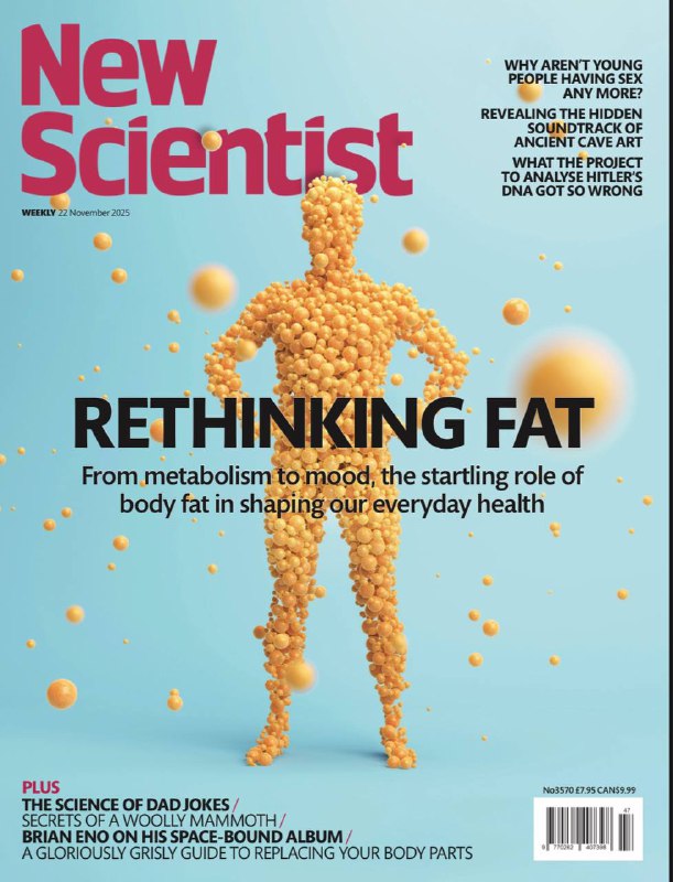 New Scientist-22.11.2025⚠️脂肪并非惰性组织，而是动态功能器官，分为白色、棕色、米色、粉色等类型，参与激素调节、免疫反应、代谢调控等关键生理过程；从西伯利亚永冻层4万年前的猛犸象“Yuka”腿部提取出全球最古老RNA，揭示其基因活性，修正其性别为雄性，为研究古生物基因表达提供新视角....📌Download              #新科学家
