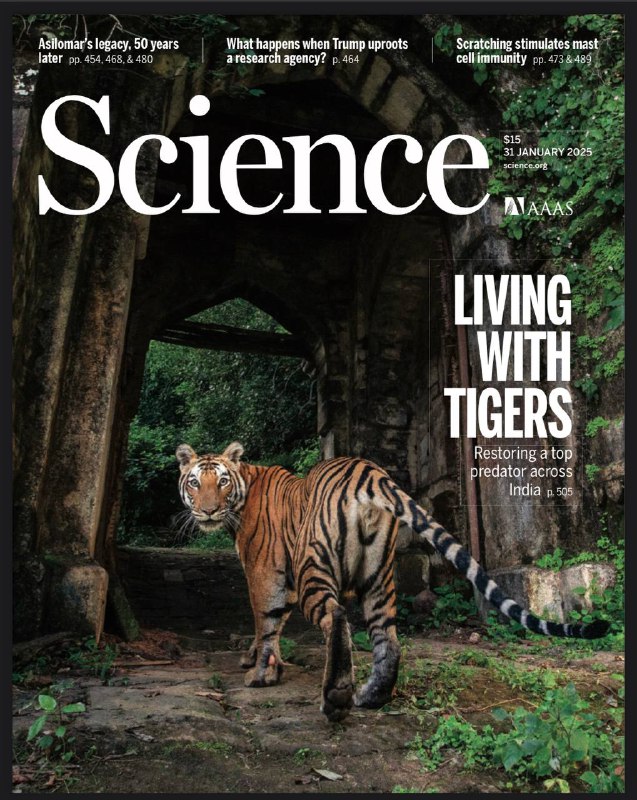 Science-31.01.2025⚠️劳伦斯伯克利国家实验室的研究人员在激光等离子体加速器（LPAs）领域取得进展，成功将电子加速到9.2 GeV，能量远超新建成的大型线性加速器；研究揭示了一种细菌免疫系统，由TIR结构域蛋白和类caspase蛋白酶组成；国际团队研究发现，许多物种的遗传多样性正在减少，即使是常见物种也面临风险....📌Download           #科学