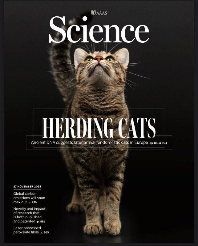 Science-11.27.2025⚠️古DNA分析显示，家猫起源于北非，约2000年前（罗马时期）才由人类带入欧洲，推翻此前“黎凡特起源说”；LIGO和Virgo探测器捕捉到特殊引力波事件，其中至少一个天体质量不足1个太阳质量，无法用常规恒星坍缩形成的黑洞或中子星解释，可能是宇宙大爆炸后形成的原初黑洞，也可能是探测器噪声，目前假阳性率为每4年1次，需更多观测验证....📌Download                  #科学