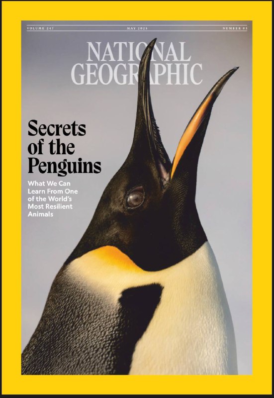 National Geographic-05.2025⚠️众多企鹅物种栖息地面临威胁，近半数有灭绝风险，但它们也展现出适应环境变化的能力，如在新地点建立繁殖地、调整繁殖和换羽时间等；3D扫描技术为泰坦尼克号创建了数字孪生模型，有助于更细致地研究沉船；介绍了美国北部森林独木舟小径，它串联起众多湖泊、河流，有着悠久的历史，原住民和欧洲定居者都曾利用这些水路....📌Download                #国家地理