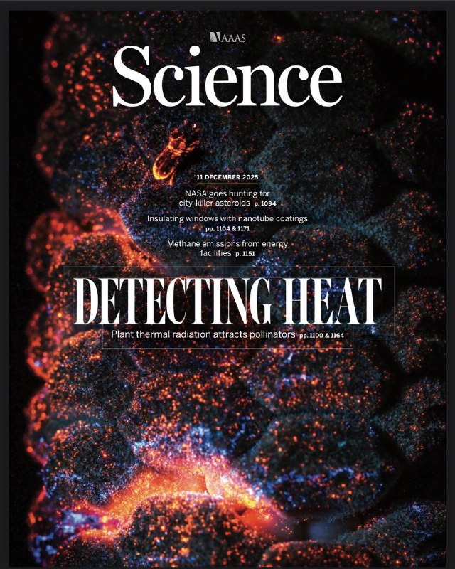 Science-11.12.2025⚠️NEO Surveyor探测器计划2027年9月发射，搭载红外探测设备，目标定位直径≥140米的“城市杀手”小行星（目前超半数未被发现），将在日地拉格朗日L1点运行，可突破太阳眩光遮挡，精准识别暗物质小行星，为地球防御争取偏转时间；中国科学家重现爱因斯坦-玻尔双缝实验，证实量子物体可同时呈现波粒二象性；科罗拉多大学推出全球首个公开访问的量子随机数发生器CURBy，基于光子纠缠产生真随机数....📌Download             #科学